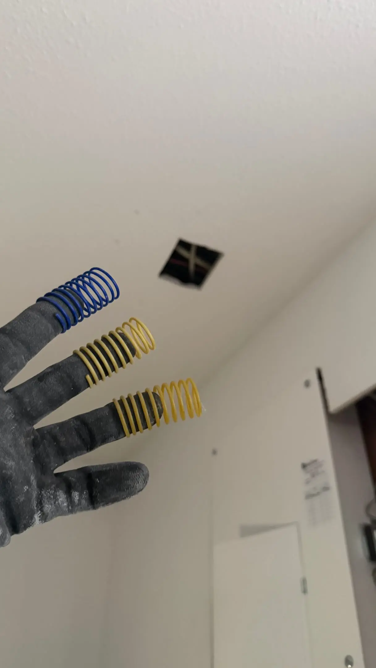 I still remember always getting something from my grandads service calls and I hope my cats appreciate this as much as I did 🤣

#catmom #bluecollar #construction #homerenovation #womenintrades